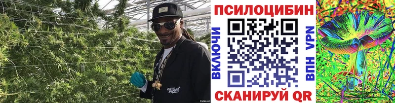 Псилоцибиновые грибы мухоморы  Купить  Красково 